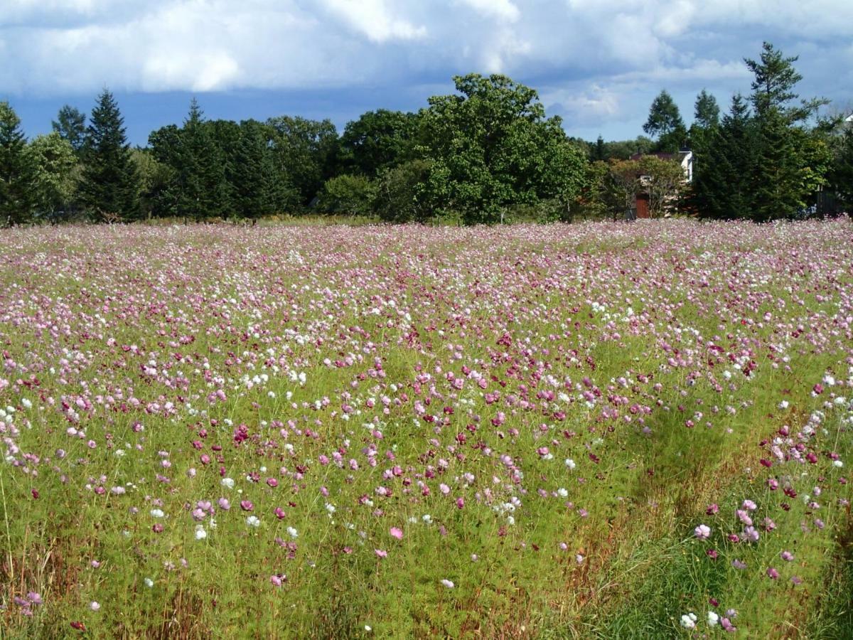 Tsukushi Village Tsurui Екстериор снимка